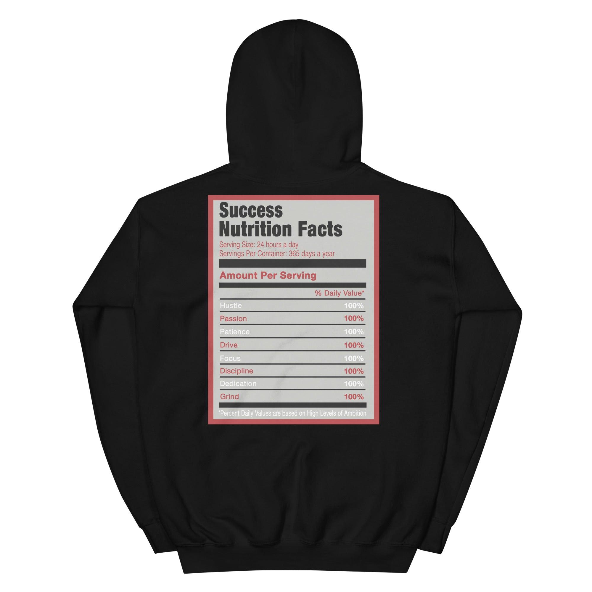 Black Success Nutrition Hoodie AJ 1 Retro High Light Smoke Grey photo