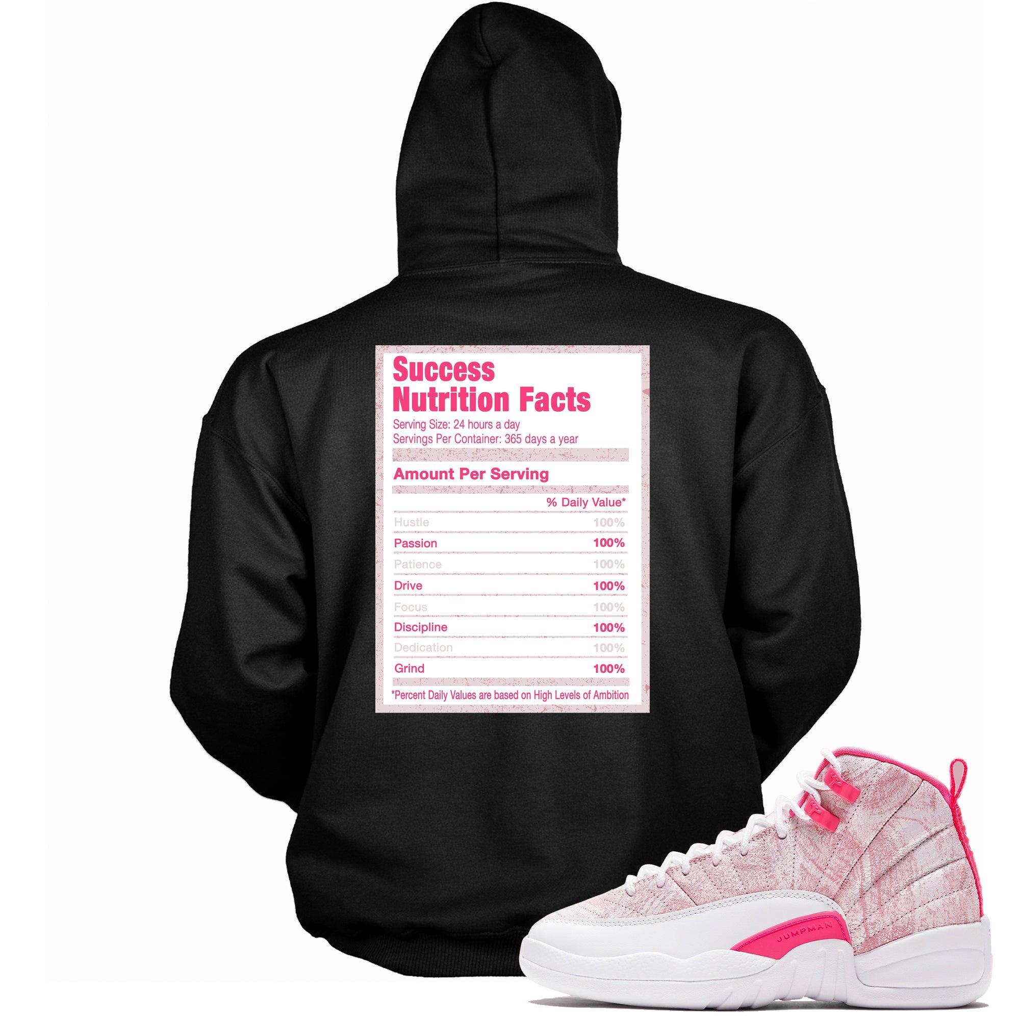 Success Nutrition Hoodie AJ 12 Retro Arctic Punch photo