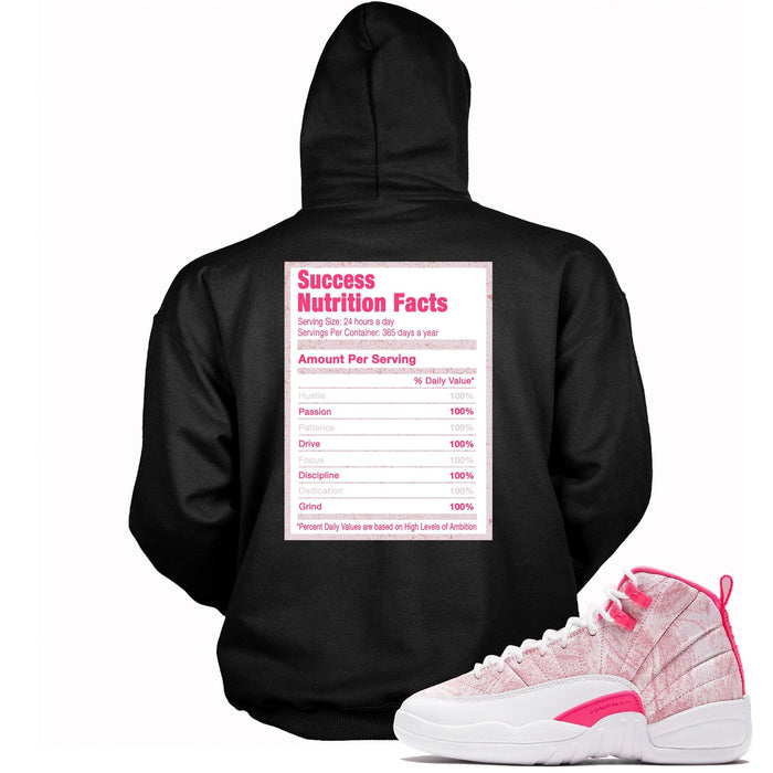 Success Nutrition Hoodie AJ 12 Retro Arctic Punch photo