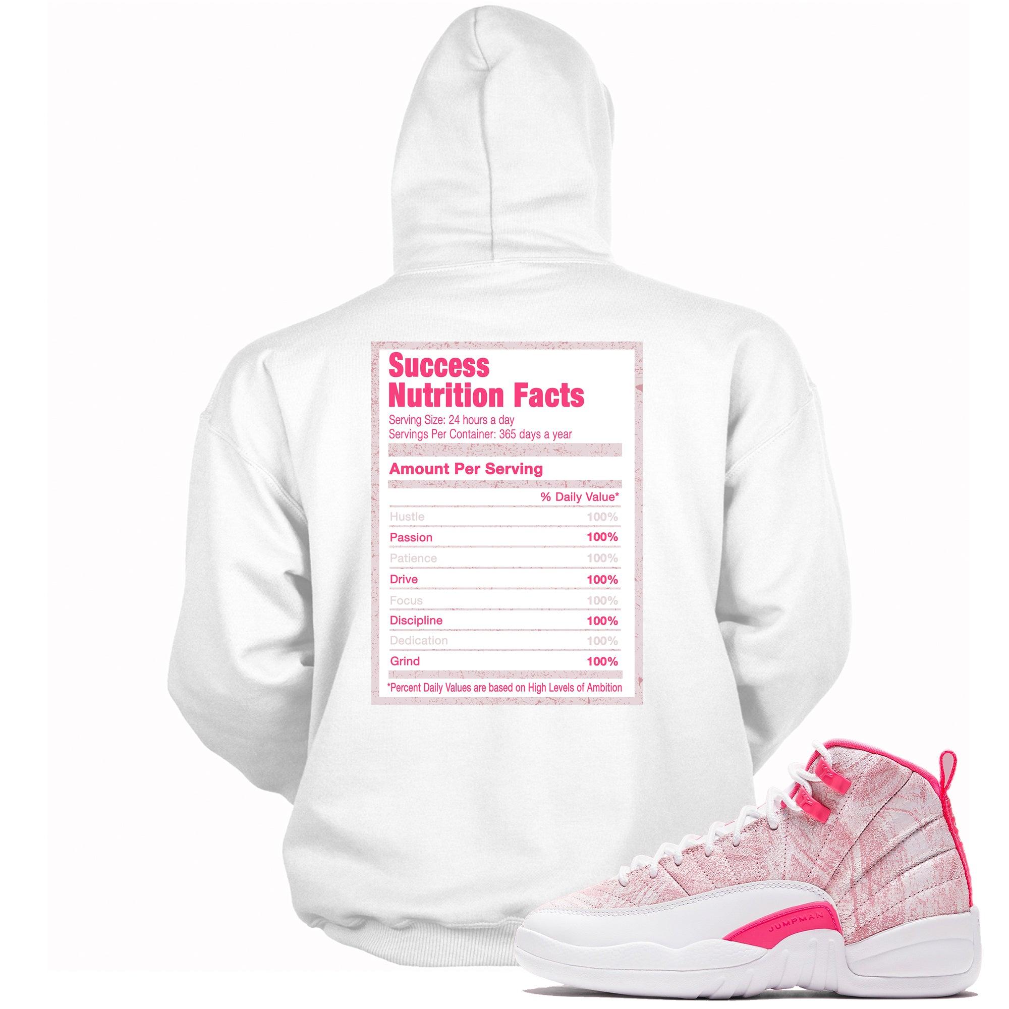 Success Nutrition Sneaker Sweatshirt AJ 12 Retro Arctic Punch photo