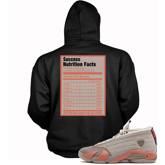 Success Nutrition Facts Hoodie AJ 14 Low Terracotta photo