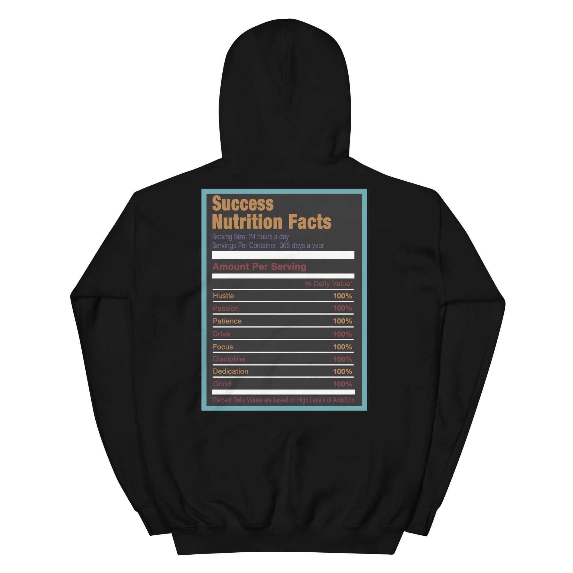 Black Success Nutrition Hoodie AJ 9 Dream It Do It photo