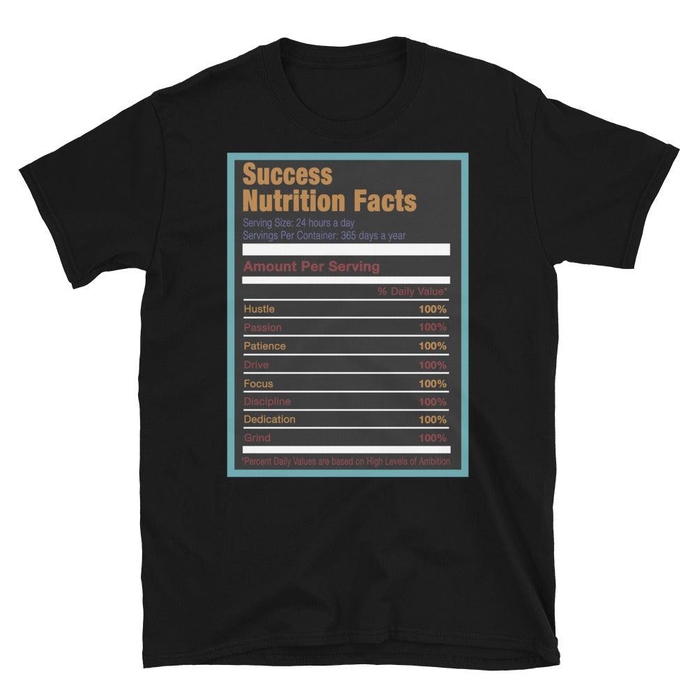 Black Success Nutrition Shirt AJ 9 Dream It Do It photo